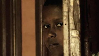 Goodbye Momo (2005)