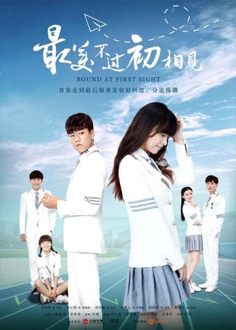 Poster of 最美不过初相见