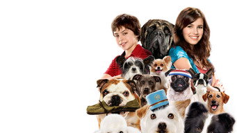 Galeria 2 - Hotel para perros