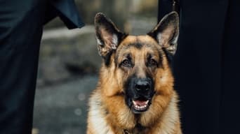 Cena de Episódio 16