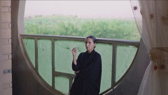 Galeria 2 - En el desierto