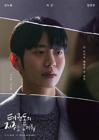 태권도의 저주를 풀어줘 — Pósters 15