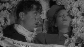 Double Wedding (1937)