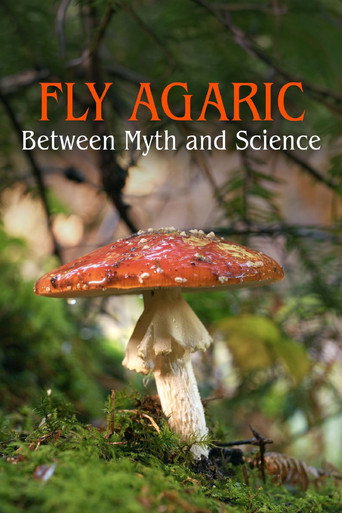 The Fly Agaric