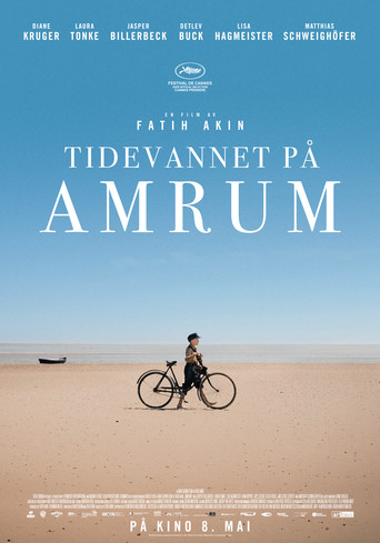 Amrum