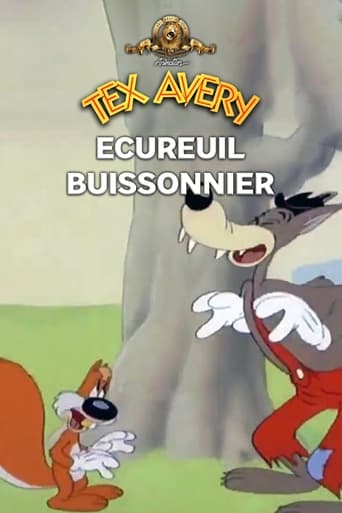 Écureuil buissonnier