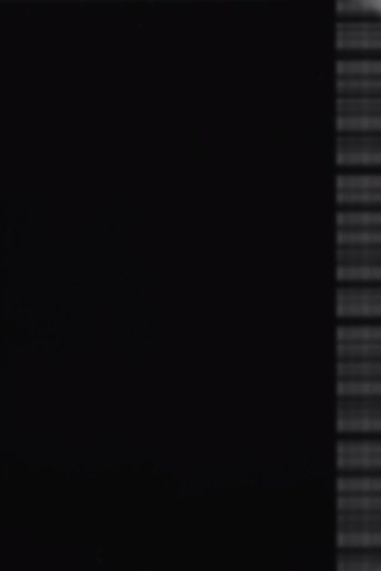 Auricon Test #2