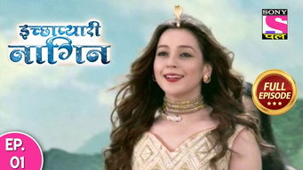Icchapyari Ki Iccha