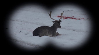 Long Live Hunting! (2014)