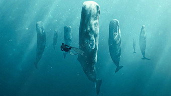 #4 Whale with Steve Backshall