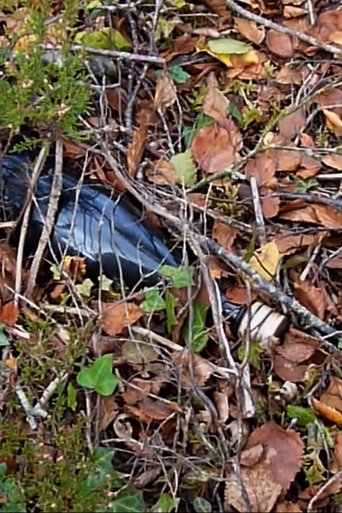 turnoftheseason poster