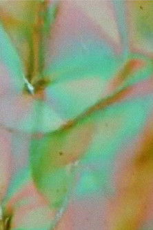 The Galilean Satellites- Ganymede poster