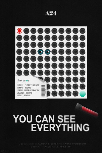You Can See Everything poster