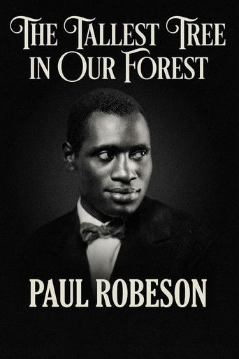 The Tallest Tree in Our Forest