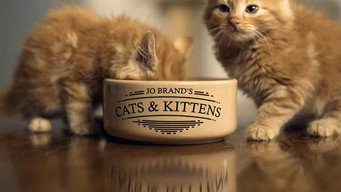 Jo Brand's Cats & Kittens (2016-2021)