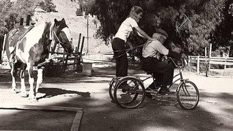 The Man from Clover Grove (1974)