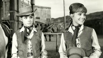Two Guns for Two Twins (1966)