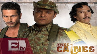 #2 Tres Caínes