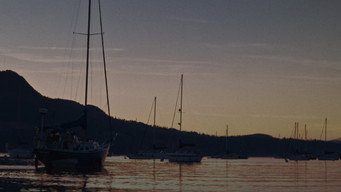 Knots media image