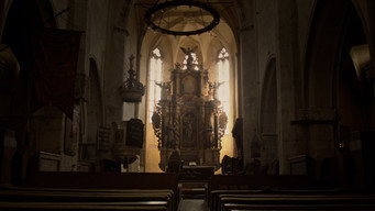#6 Hymn from the Hive