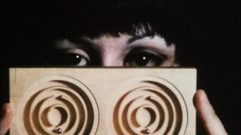 Double Labyrinthe (1976)