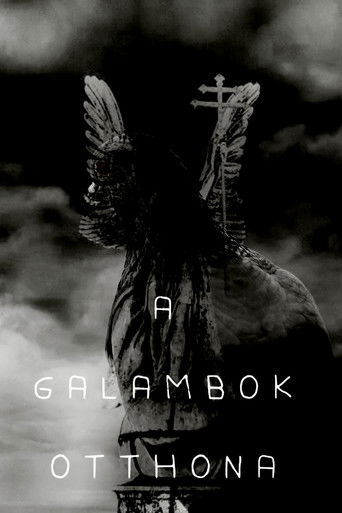 Home of Pigeons (2025)