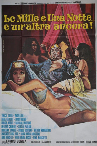 Le mille e una notte... e un'altra ancora! poster
