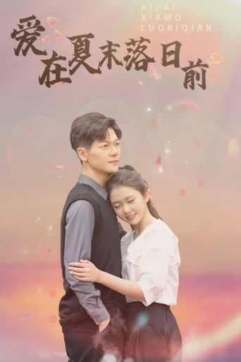 爱在夏末落日前 poster