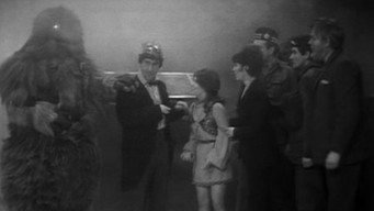 Doctor Who T5E28