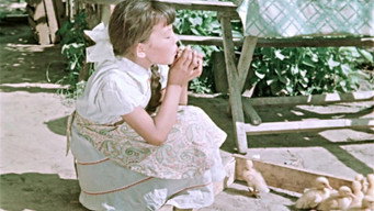 My Name Is Kozha (1964)