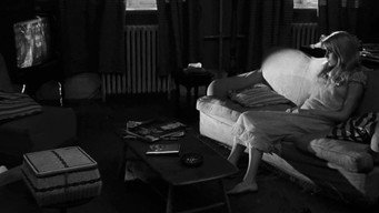 Repulsion media image