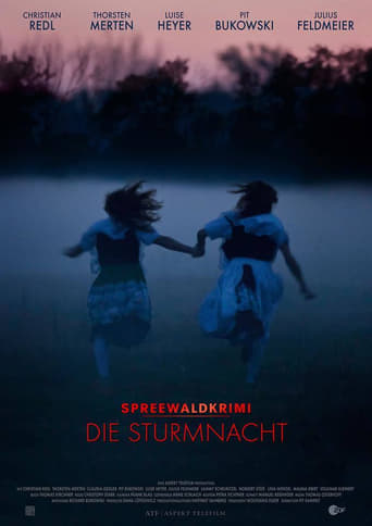Poster of Spreewaldkrimi – Die Sturmnacht