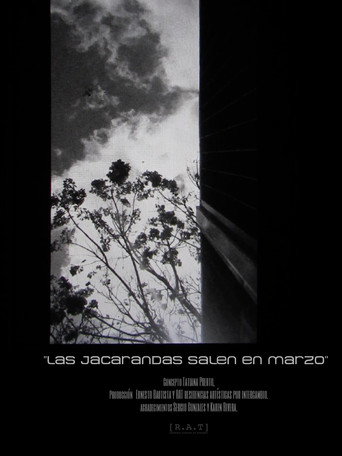 Jacarandas come out in March