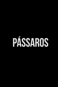 Pássaros (2019)