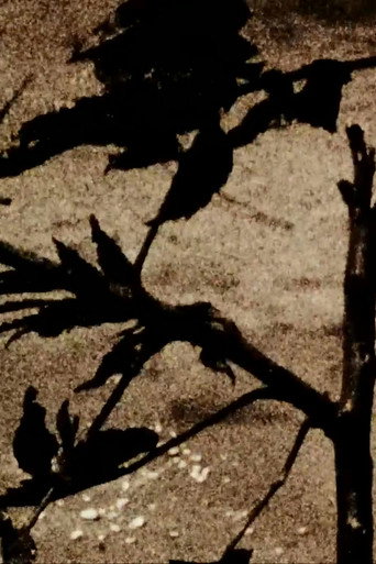 Kokoro Is for Heart (1999)