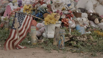 Episode 21 — Mass Shooting Nation