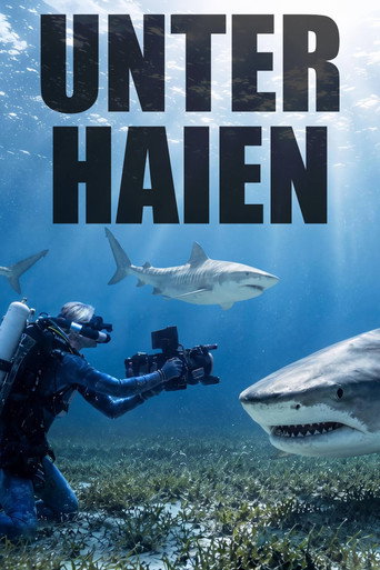 Among Sharks (2026)