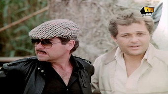 #6 The Shame