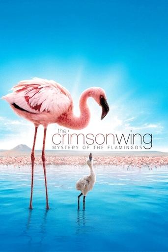 Poster för The Crimson Wing: Mystery of the Flamingos