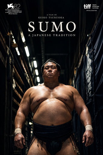 Sumo: Spirit Weighs Nothing poster — watch free in HD on FreeFlix