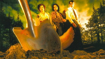 Неглибока могила (1994)