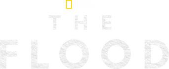 The Flood logo