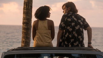 Galeria 3 - El amor lo es todo, todo