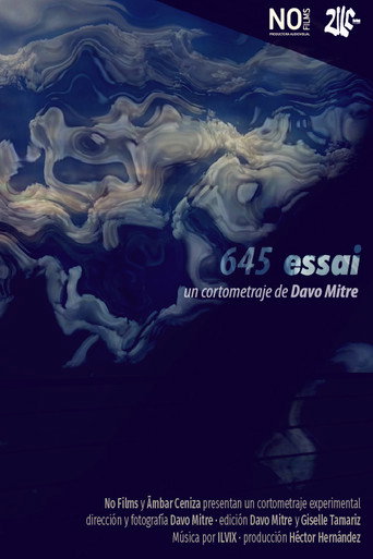 645 essai