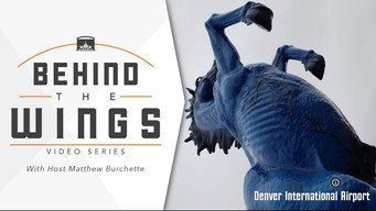 Denver International Airport