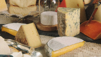The Big Cheese (2026)