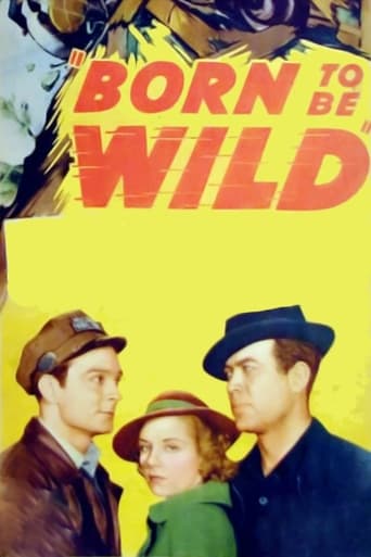 Poster för Born to Be Wild