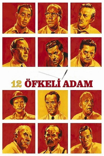 12 Öfkeli Adam