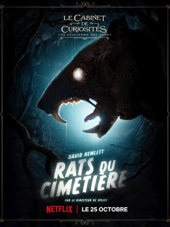 Le Cabinet de curiosités de Guillermo del Toro - S1 - Épisode 2 : Rats de cimetière - Affiche