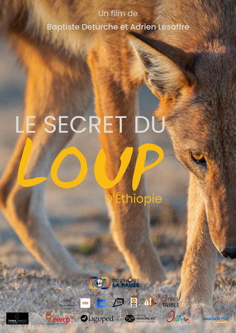 Poster film Le Secret du Loup d’Éthiopie